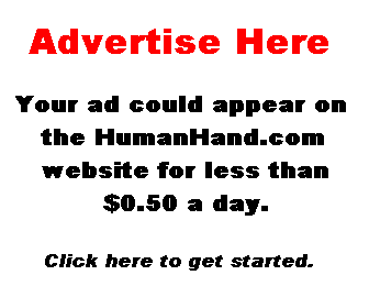 Advertise Here